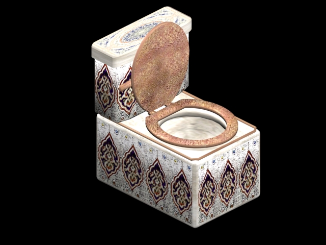 moroccan toilet